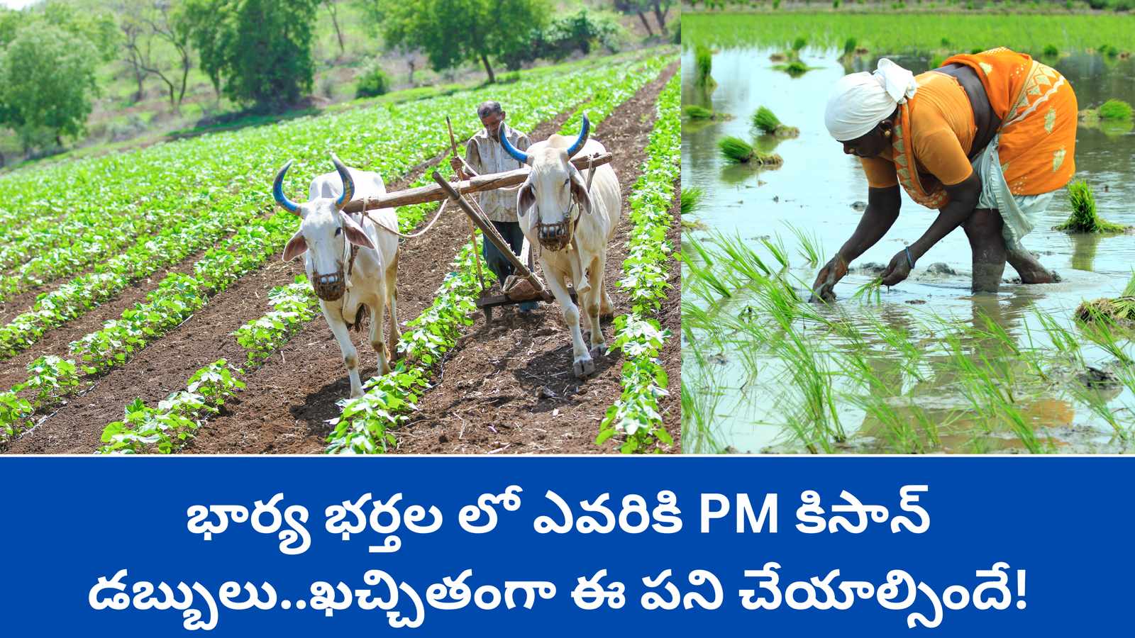 కిసాన్
